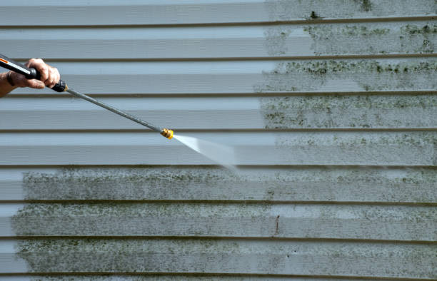 Best House Exterior Washing  in Hoxie, AR